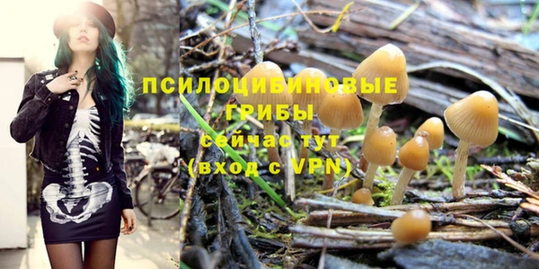 меф Богородицк